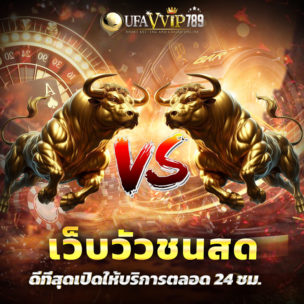 เว็บวัวชนสด